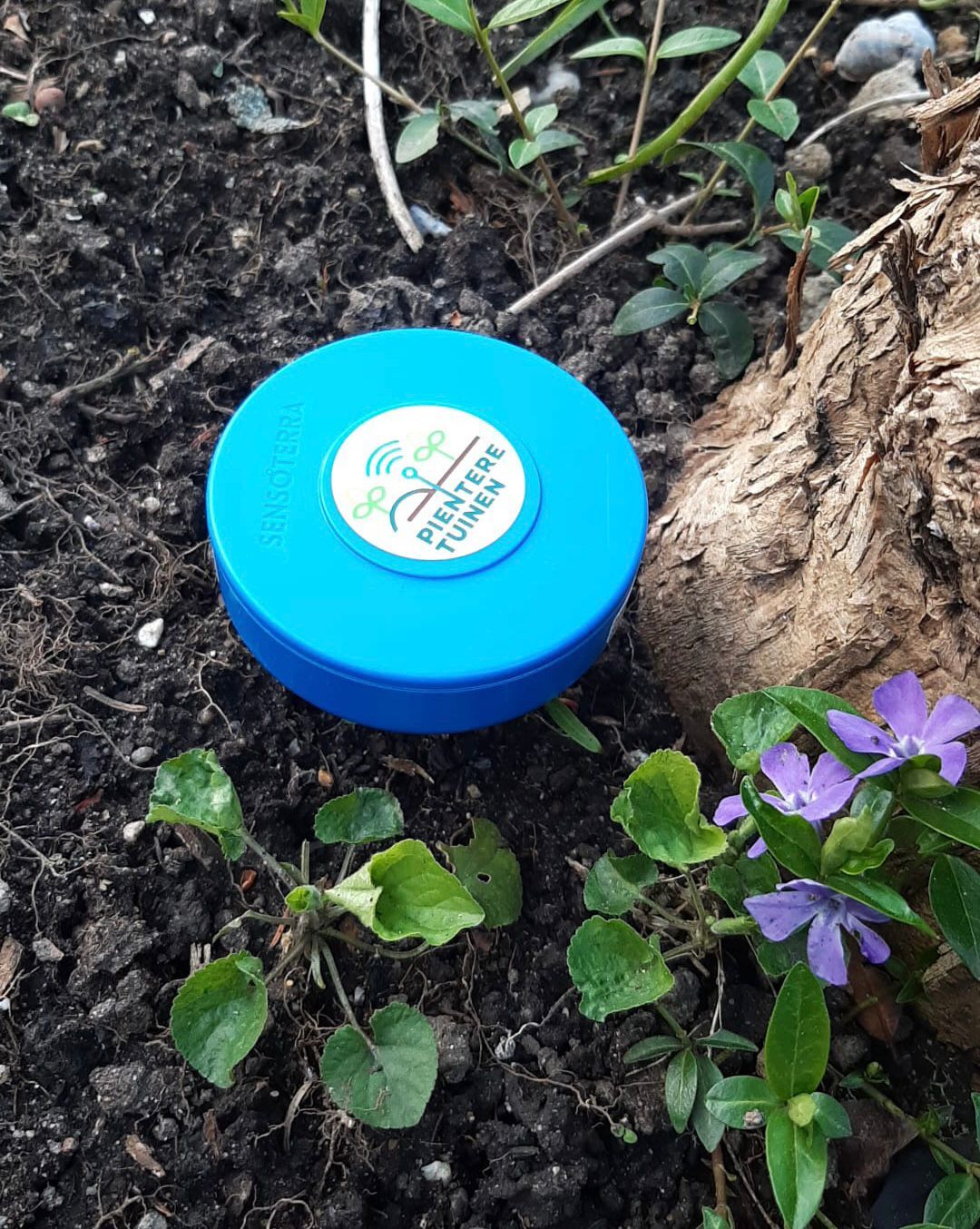 Pientere tuin sensor