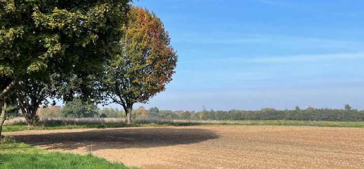 Uitzicht over Landschapspark Absbroek