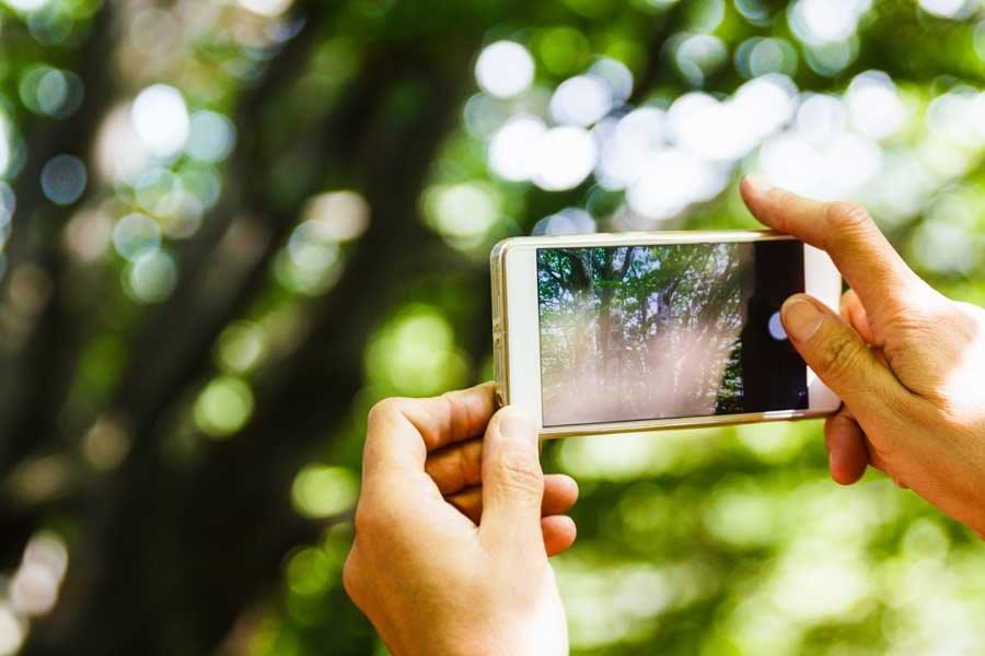2 handen houden telefoon vast en maken foto